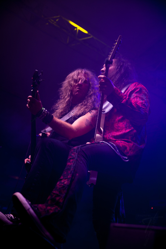 Tygers of Pan Tang